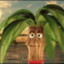 Cocotierul Vincent