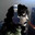 Miss Conduct avatar