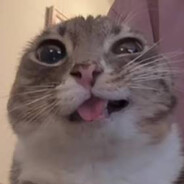 Замир Безчурок