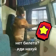 скибиде собака