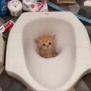 读懂苍蝇的忧郁