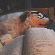 r301治好了我的精神内耗