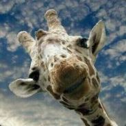 来自随州的惠爱民