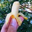 TinyBananaMonster