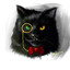 =BLACK CAT=