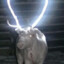 YoungSanta666