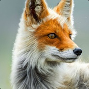 Vanitas - steam id 76561197995262456