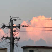 下等马分界线-------------