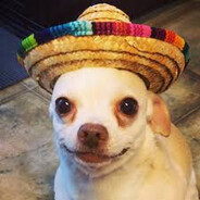 El Chichuaua