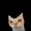 PlsBMiFrend
