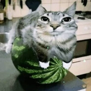 НУЙ младший