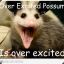 Epic Possum