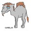 CAMEL_03