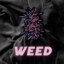 ❀ 𝕎𝕖𝕖𝕕 ❀ magic