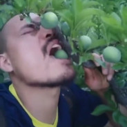 年轻人耗子尾汁