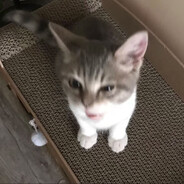 老公跟白丝男娘跑路