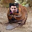 MessiBeaver