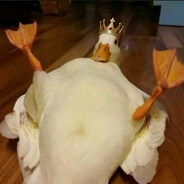 King of Duck