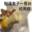 鼠鼠