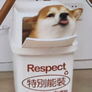 jk脱离裤腿细品澄澈之水