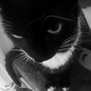 Ayux avatar