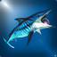 Helicoprion