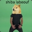 Shiba Labeouf
