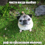 формула минета на