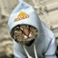 весна в окно стуч