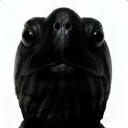 你黑我看头龟不