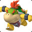 bowserjr134