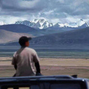 队友carry我sorry(恩师张锦