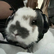 meli's avatar