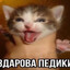 задоджил аборт