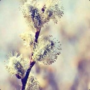 练练好玩的英雄吧