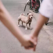 Alert during morning reading