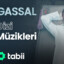 Gassal Dizi Müzikleri