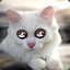 floxon