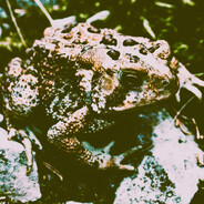 ProdTODE - steam id 76561199156573531