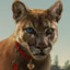 Felidae