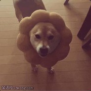 热心市民张大爷