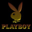 PLAYBOY