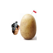 Polish_potato