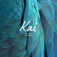 乌龙茶去糖谢谢