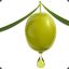 Olive_oil