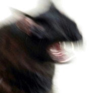 人家秋雅结婚你在这又