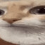 toast