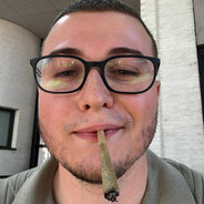 Coala avatar