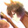 𝐻𝑒𝓁𝓁𝒶 SKINS