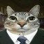 Cat134